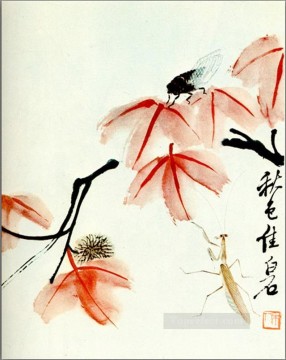 traditional Painting - Qi Baishi likvidambra taiwan and the cicada traditional Chinese